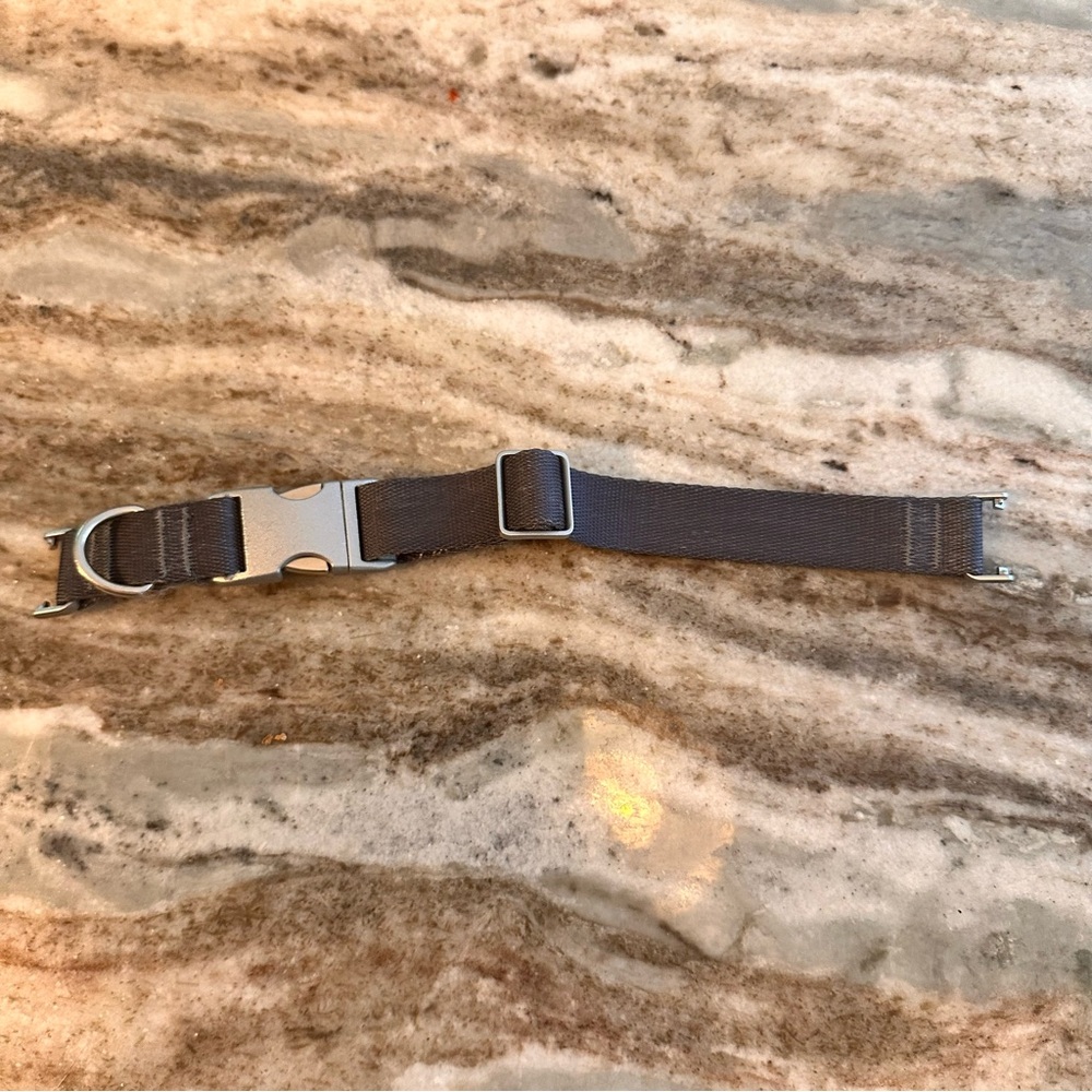 Fi Series 2 Collar